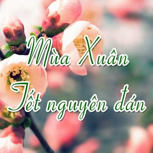 Tổng Hợp Nhạc Beat Hay Nhất - Mùa Xuân, Tết Nguyên Đán